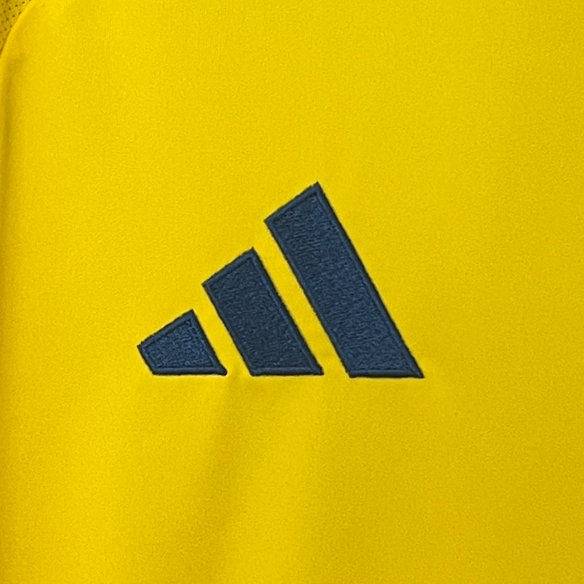 Colombia 2024 Local Copa América (Fan Version)