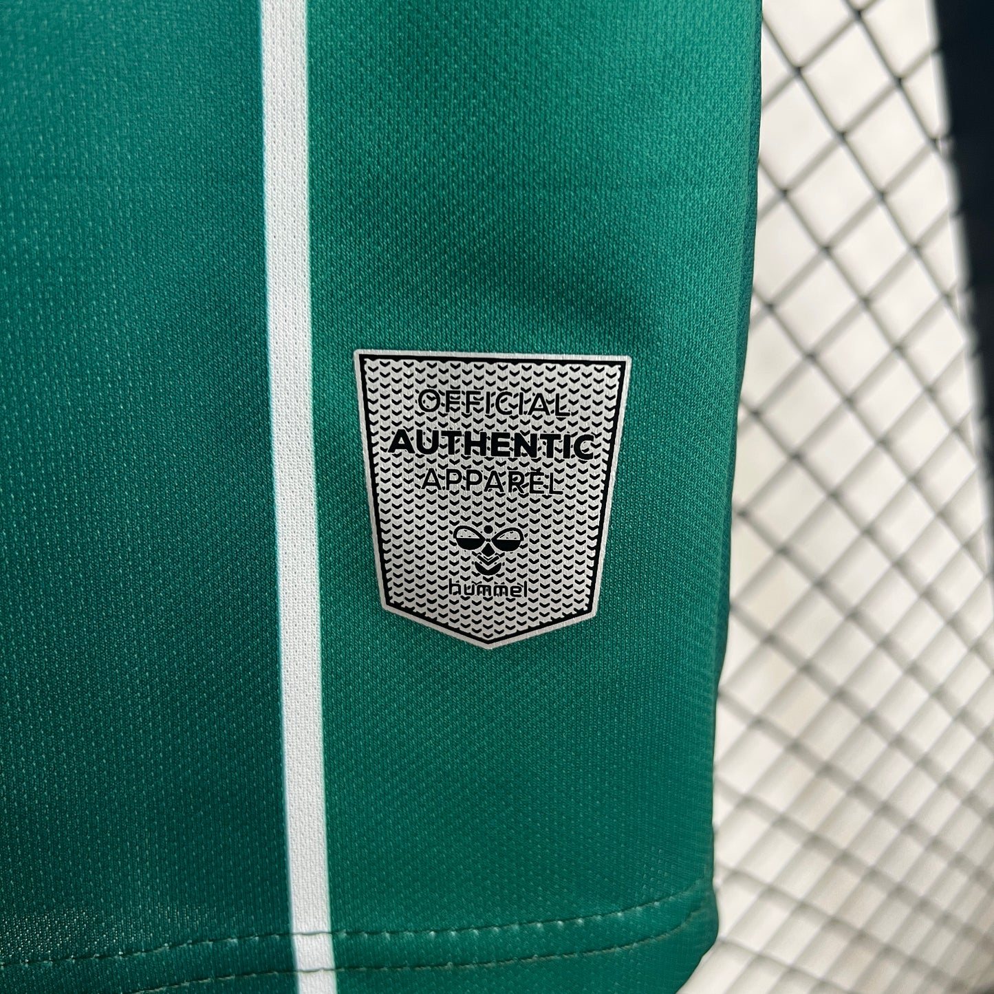 Werder Bremen 25-26 Local (Fan Version)