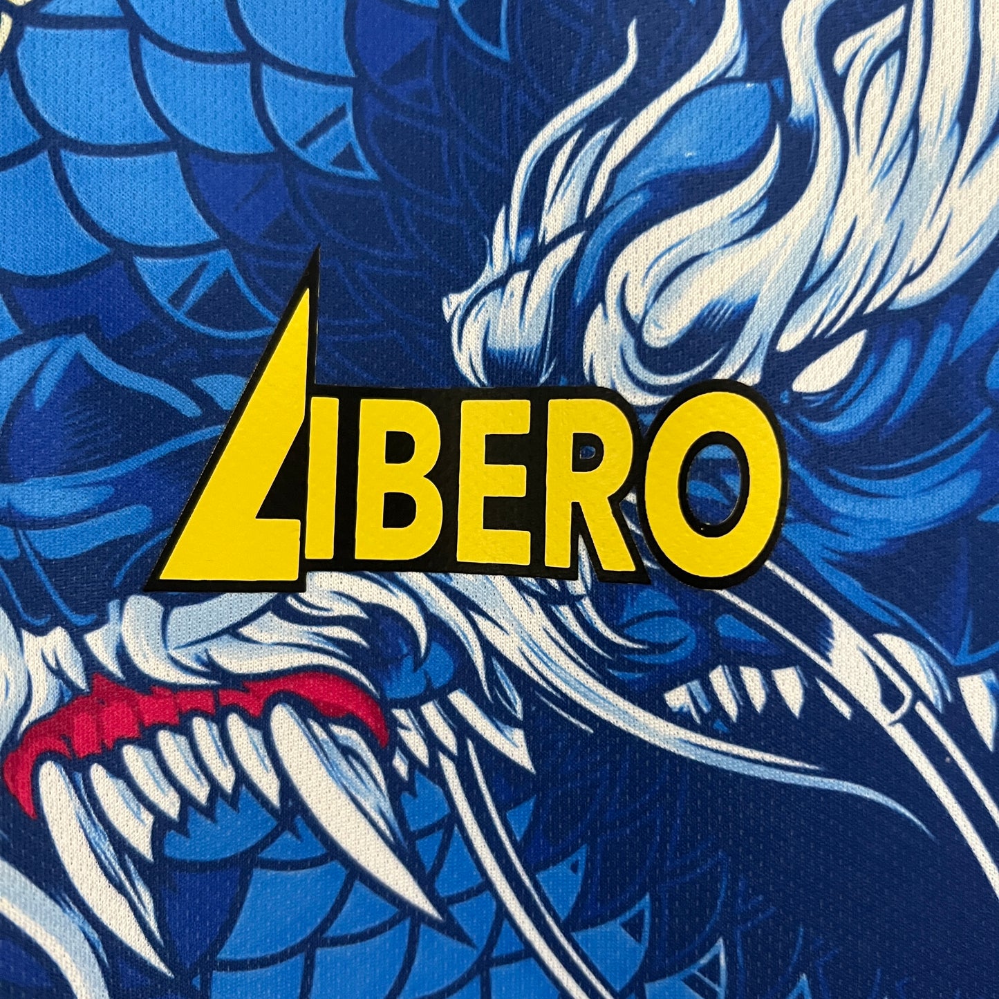 Japón 2024 Edición Especial 41 (Fan Version)