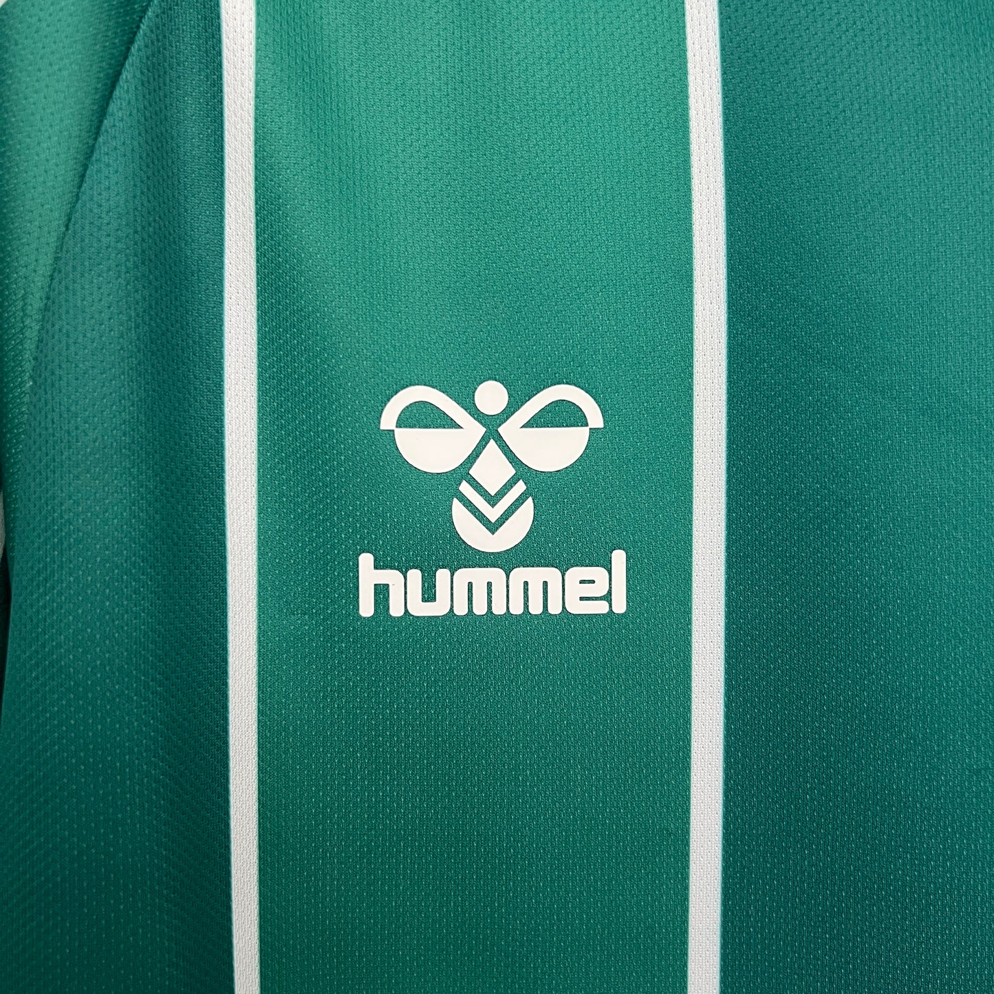 Werder Bremen 25-26 Local (Fan Version)