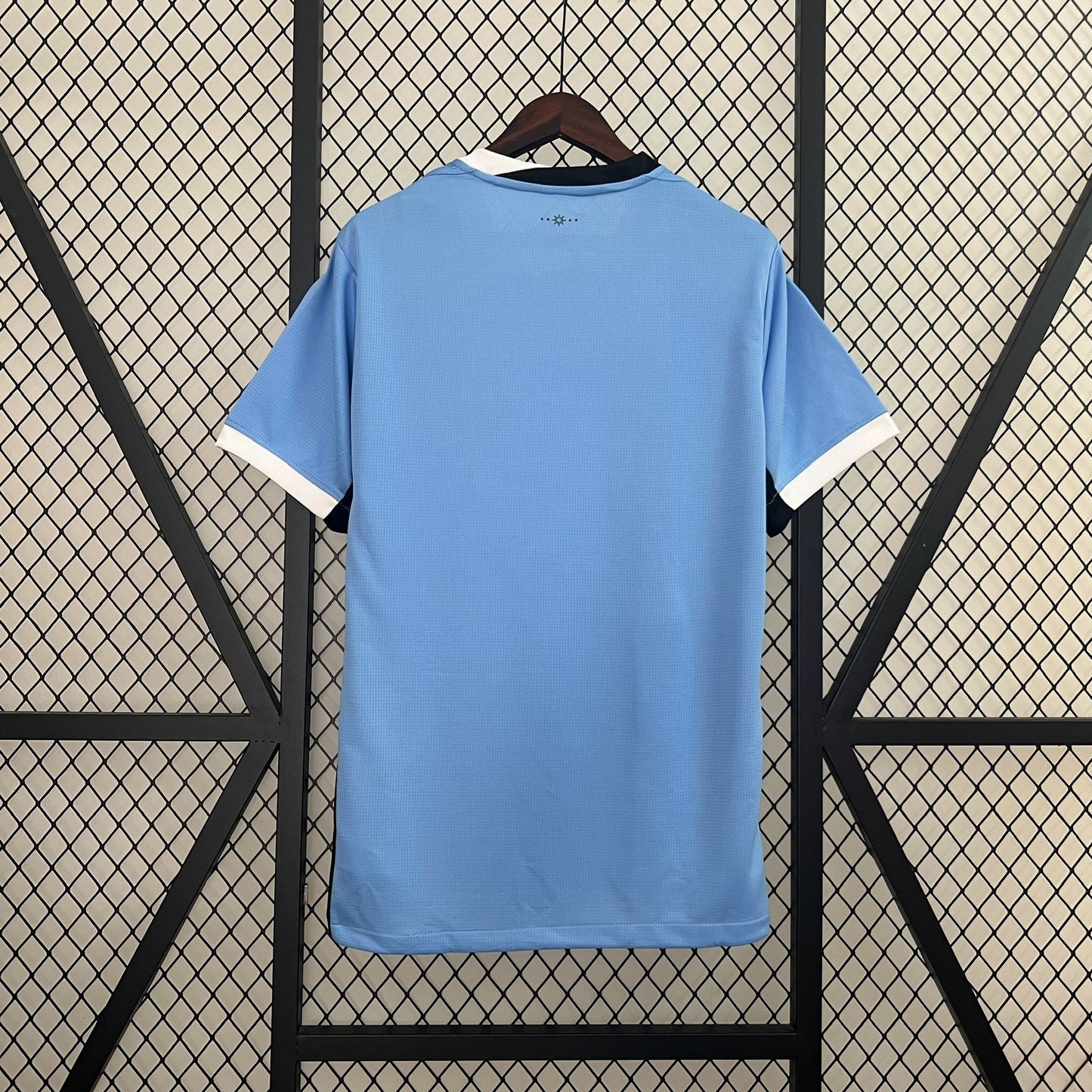 Uruguay 2024 Local Copa América (Fan Version)