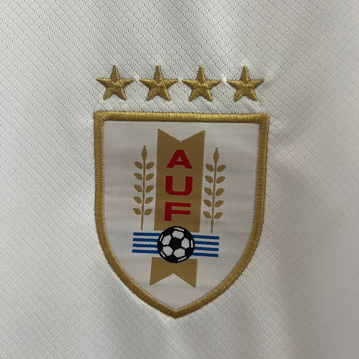 Uruguay 2024 Visitante Copa América (Fan Version)