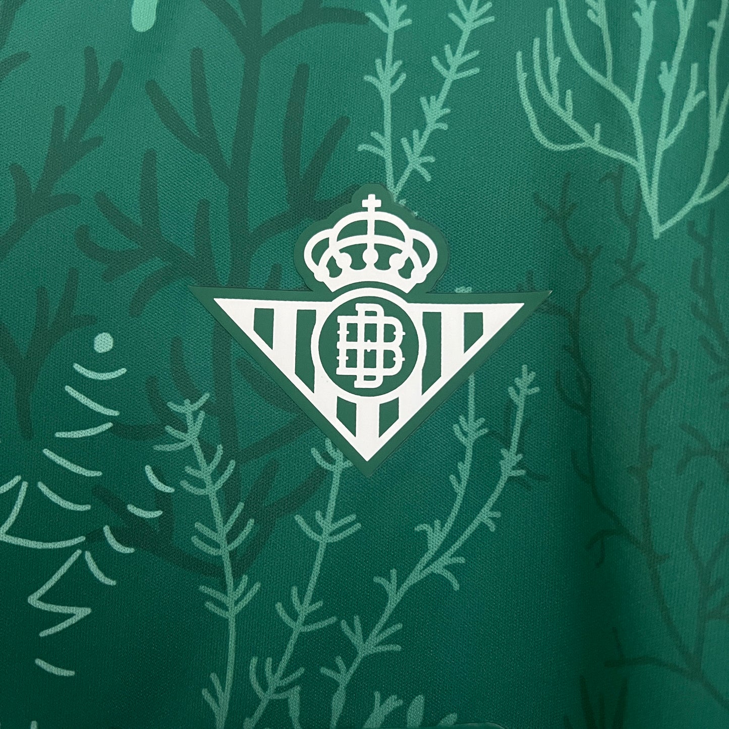 Betis 24-25 Edición Especial (Fan Version)