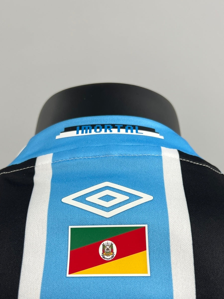 Gremio 2025 Local (Fan Version)