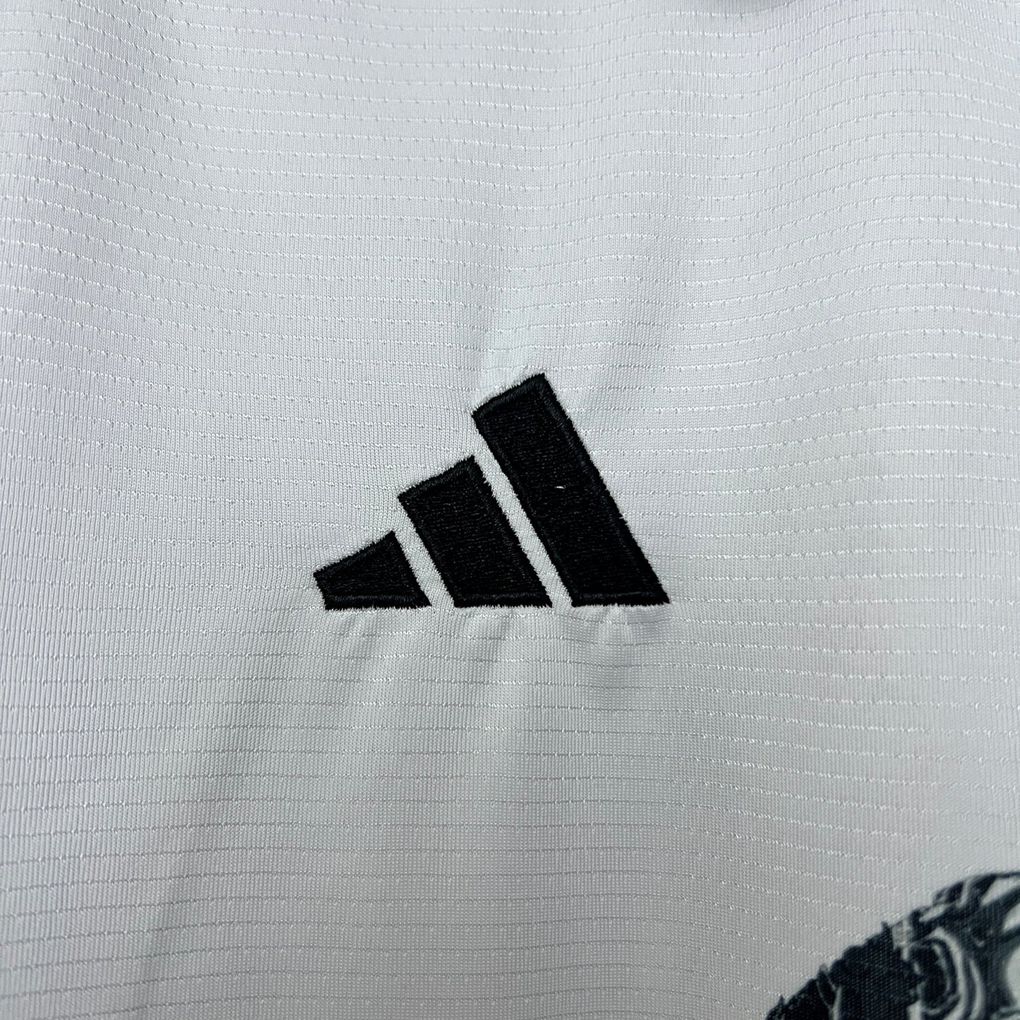 Japón 2024 Edición Especial 1 (Fan Version)