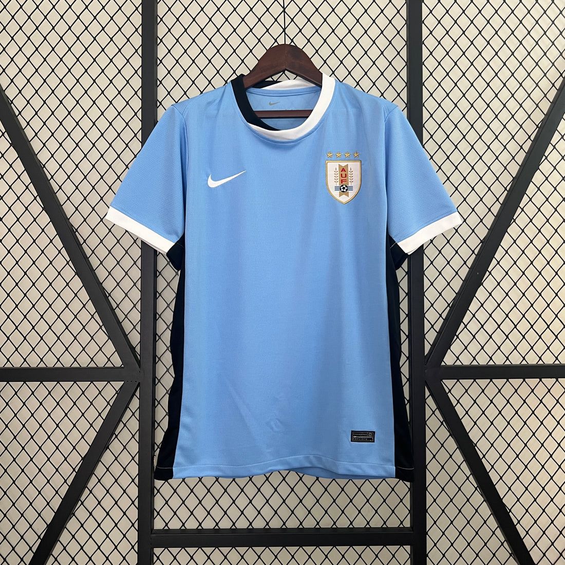 Uruguay 2024 Local Copa América (Fan Version)