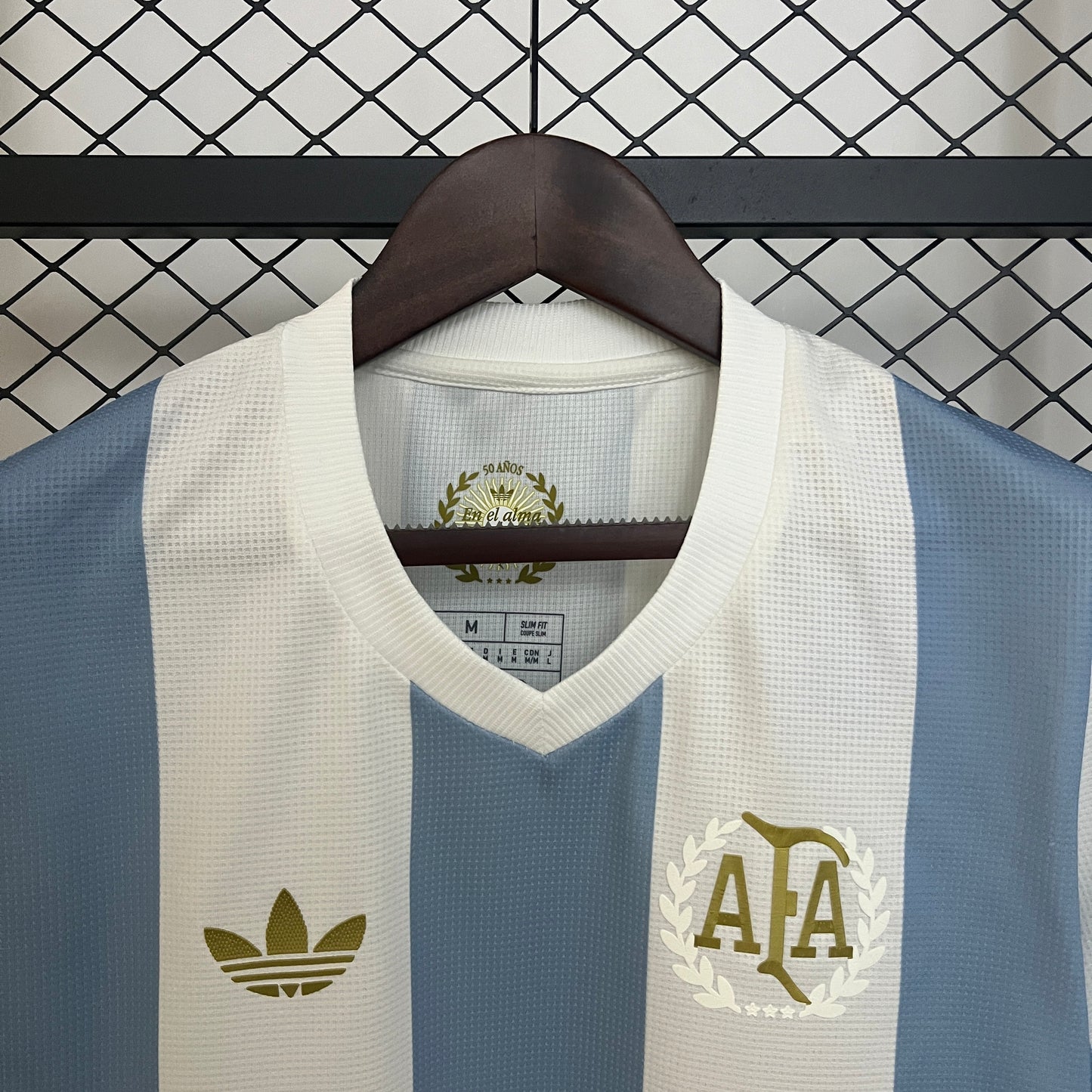 Argentina 2024 50 Aniversario (Fan Version)