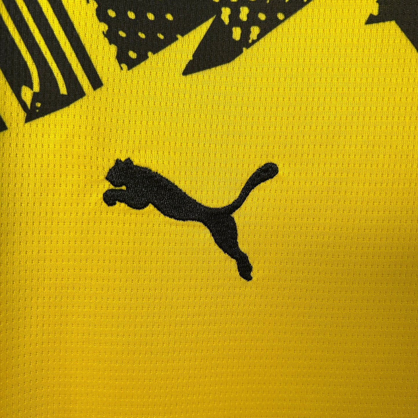 Borussia Dortmund 25-26 Local (Fan Version)