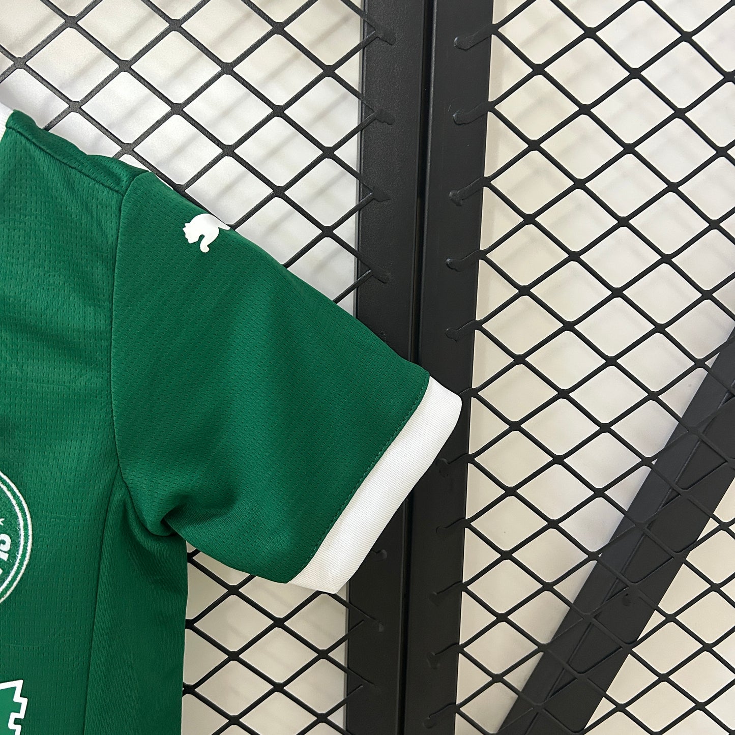 Palmeiras 2025 Local (Niño)