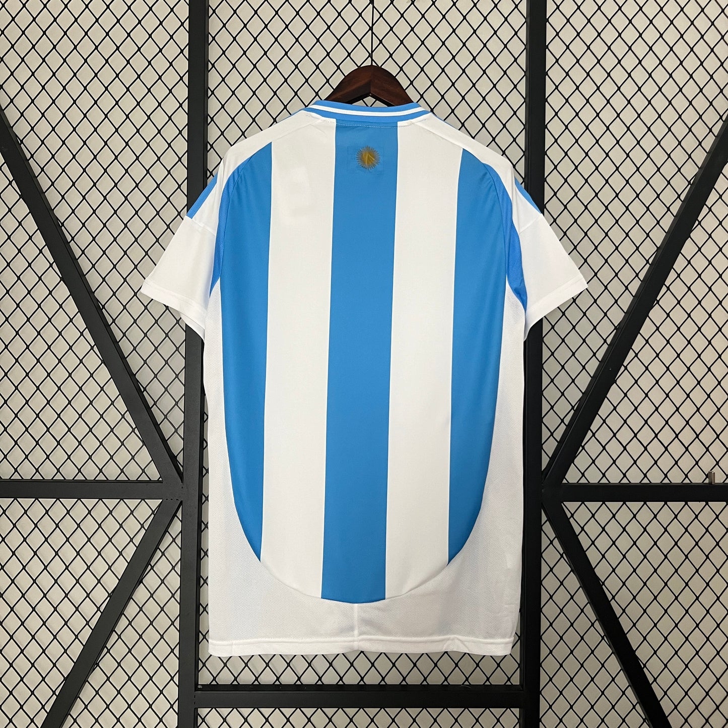 Argentina 2024 Local Copa América (Fan Version)