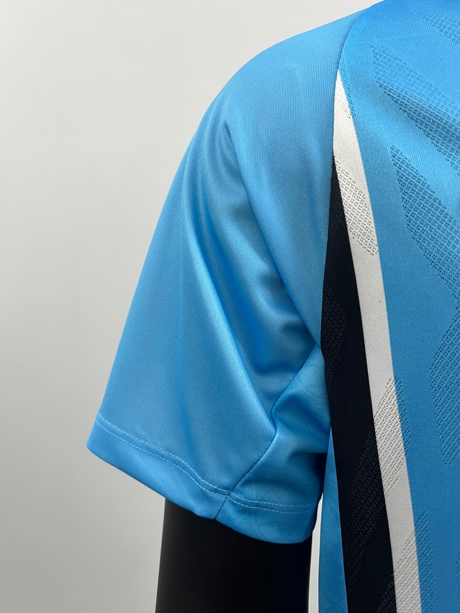 Gremio 2025 Local (Fan Version)