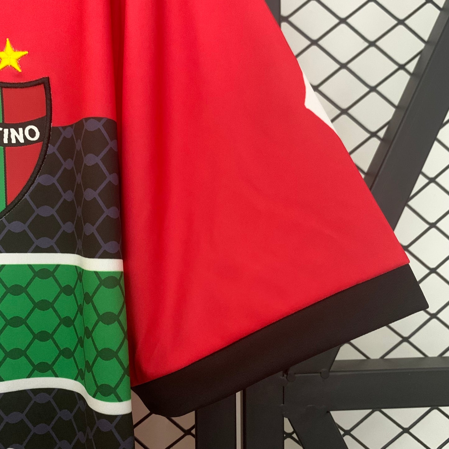 Palestina 25-26 Edición Especial (Fan Version)
