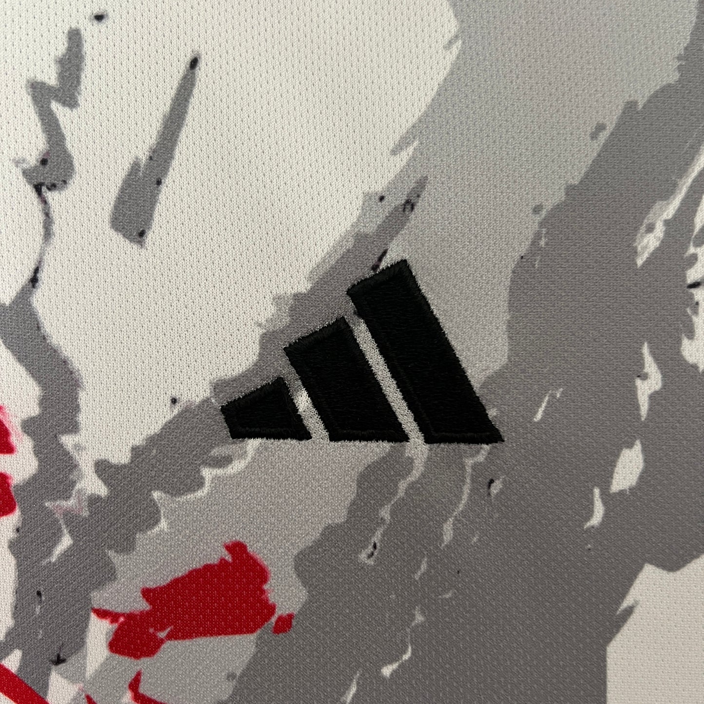 Japón 2024 Edición Especial 38 (Fan Version)