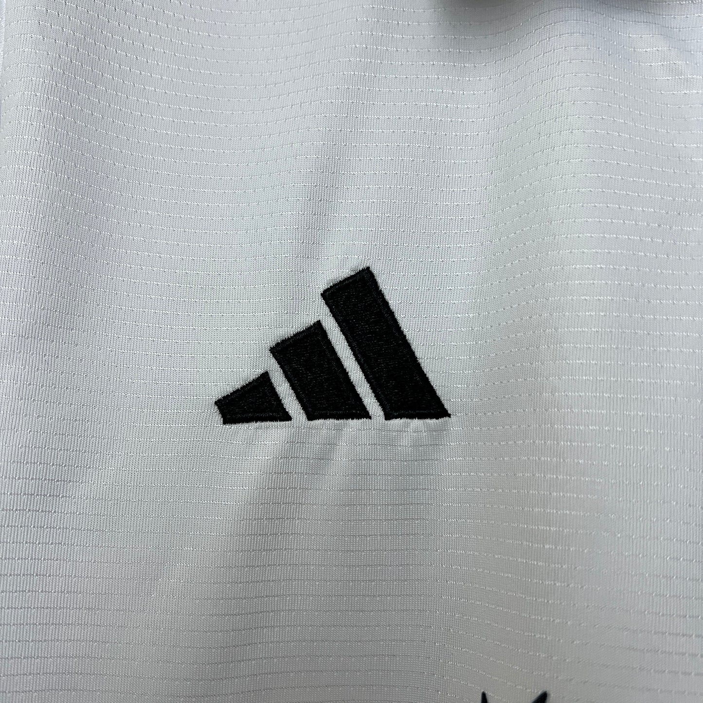 Japón 2024 Edición Especial 27 (Fan Version)