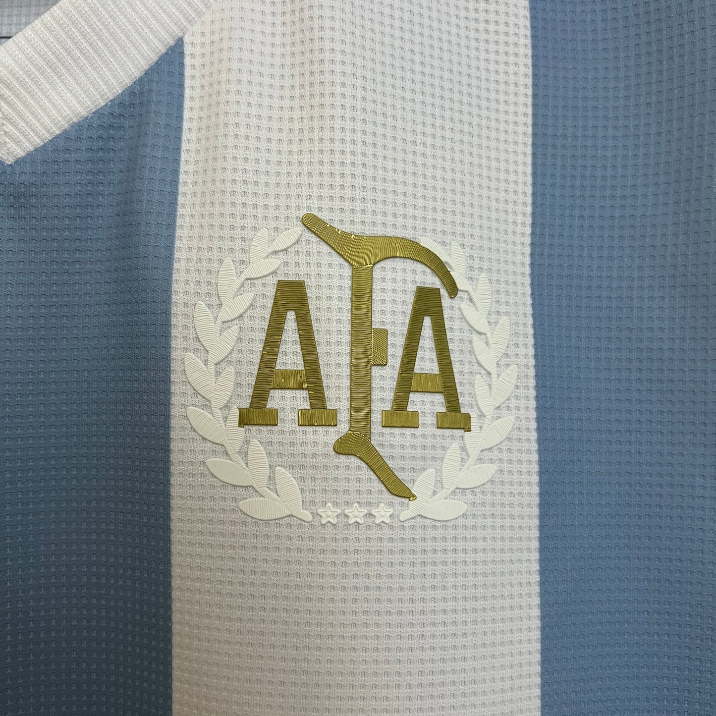 Argentina 2024 50 Aniversario (Fan Version)