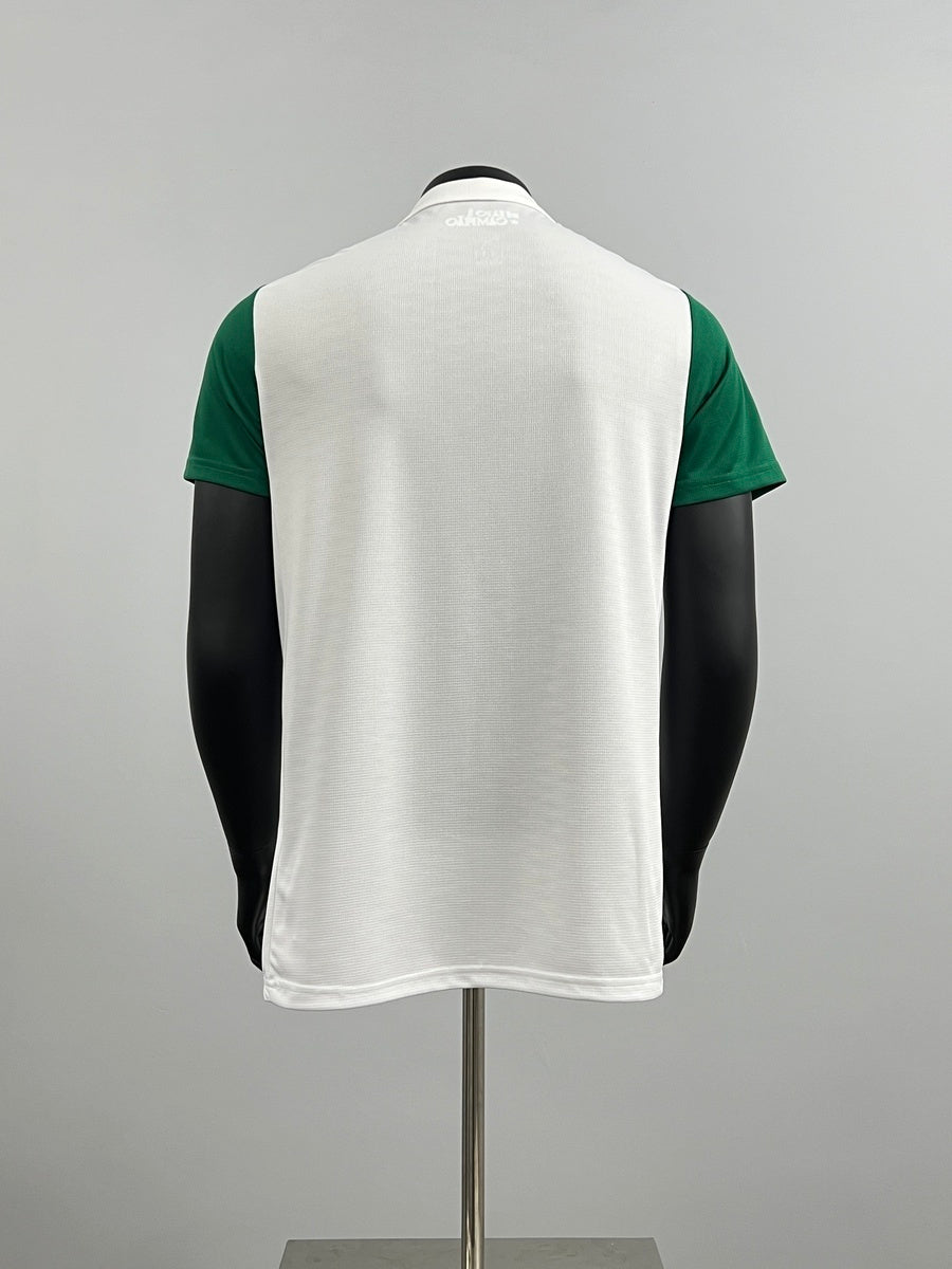 Palmeiras 2025 Visitante (Fan Version)