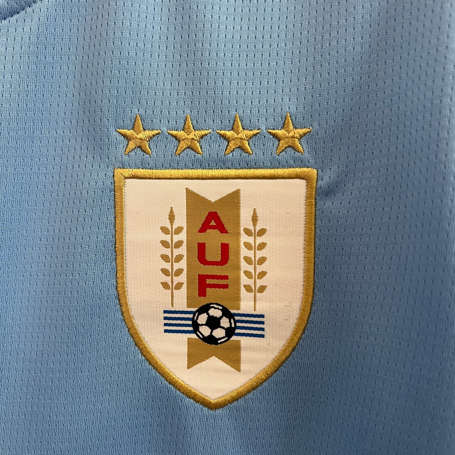 Uruguay 2024 Local Copa América (Fan Version)