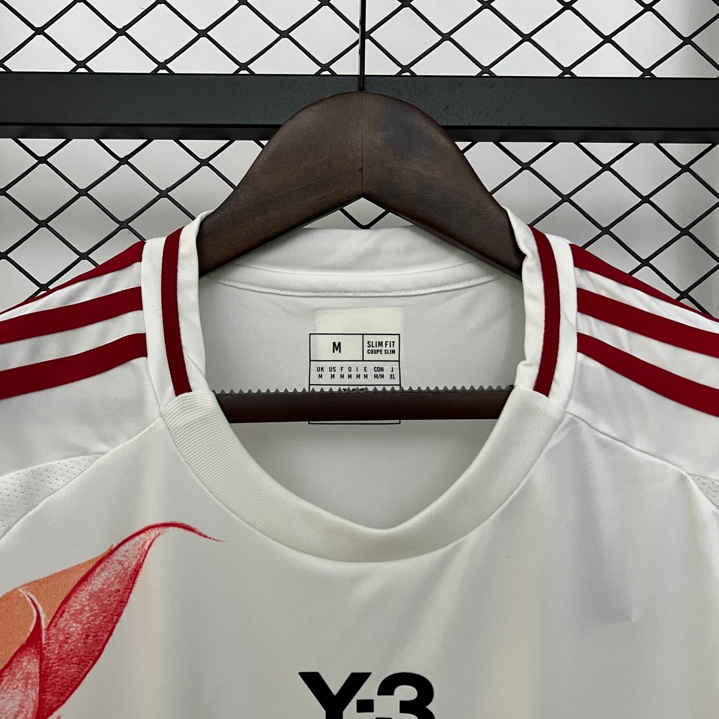 Japón 2024 Edición Especial 30 (Fan Version)