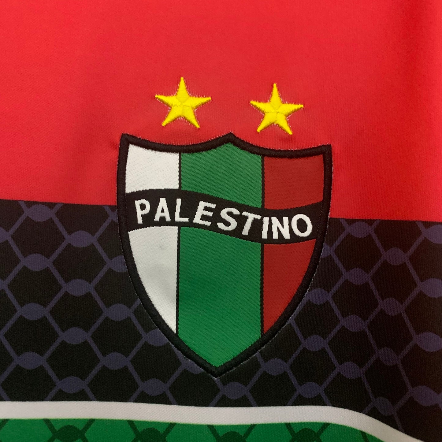 Palestina 25-26 Edición Especial (Fan Version)