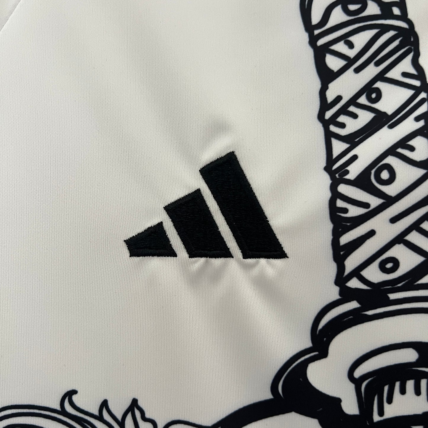 Japón 2024 Edición Especial 21 (Fan Version)