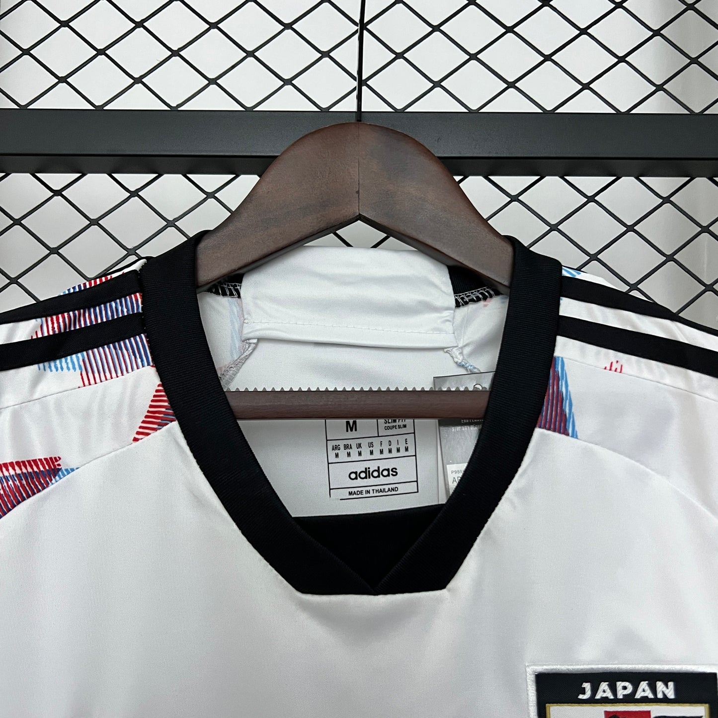 Japón 2024 Edición Especial 10 (Fan Version)