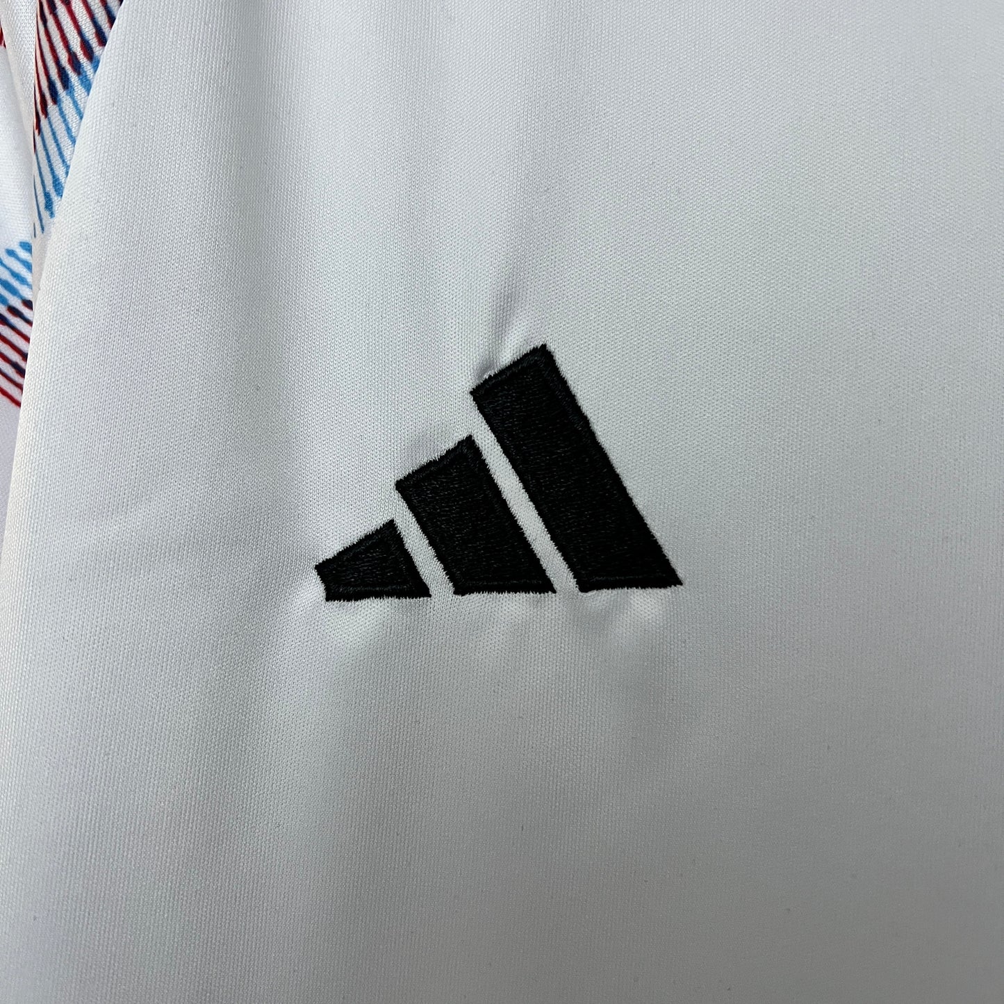 Japón 2024 Edición Especial 42 (Fan Version)