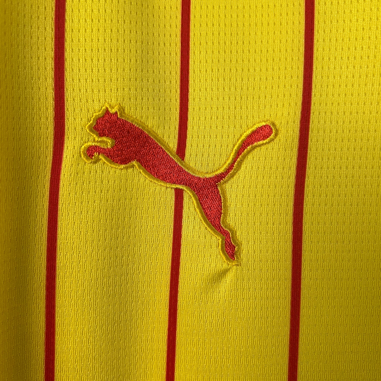 Lens 25-26 Local (Fan Version)