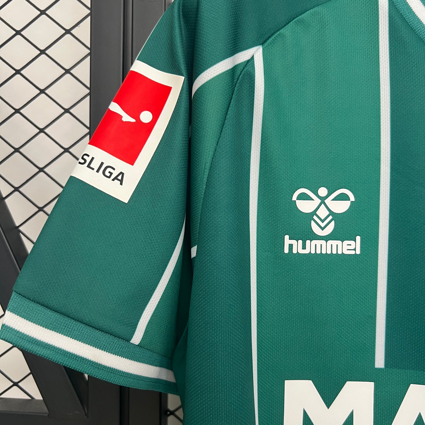 Werder Bremen 25-26 Local (Fan Version)