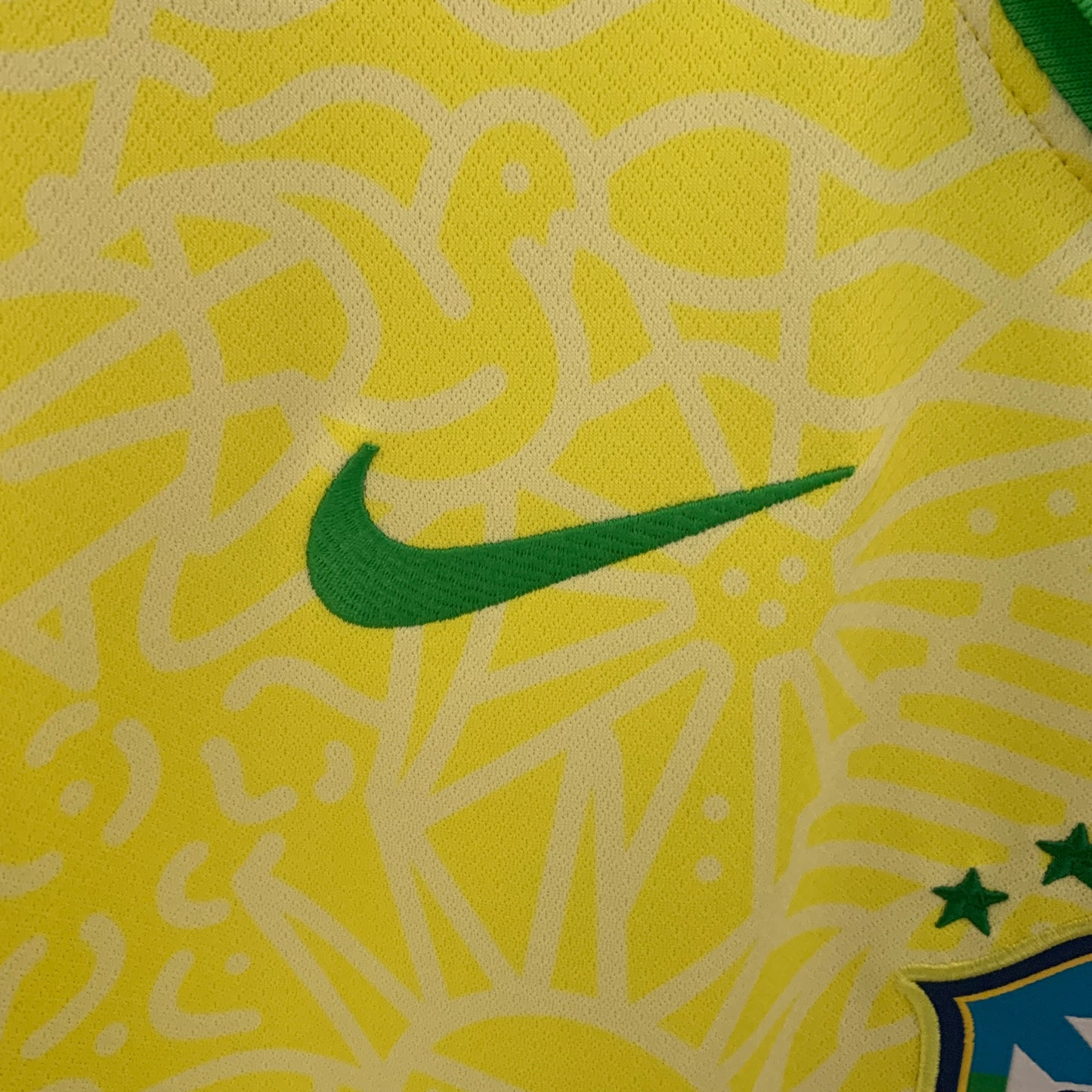 Brasil 2024 Local Copa América (Fan Version)