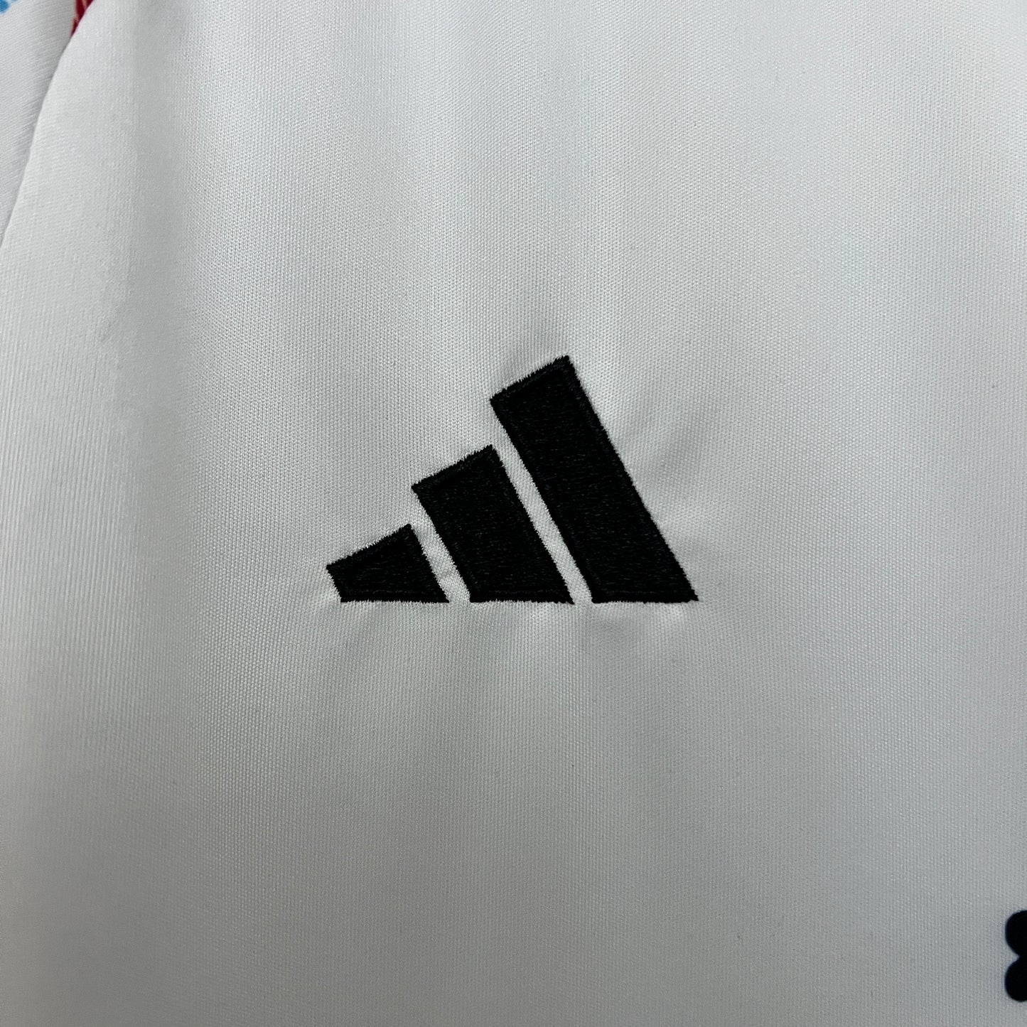 Japón 2024 Edición Especial 10 (Fan Version)