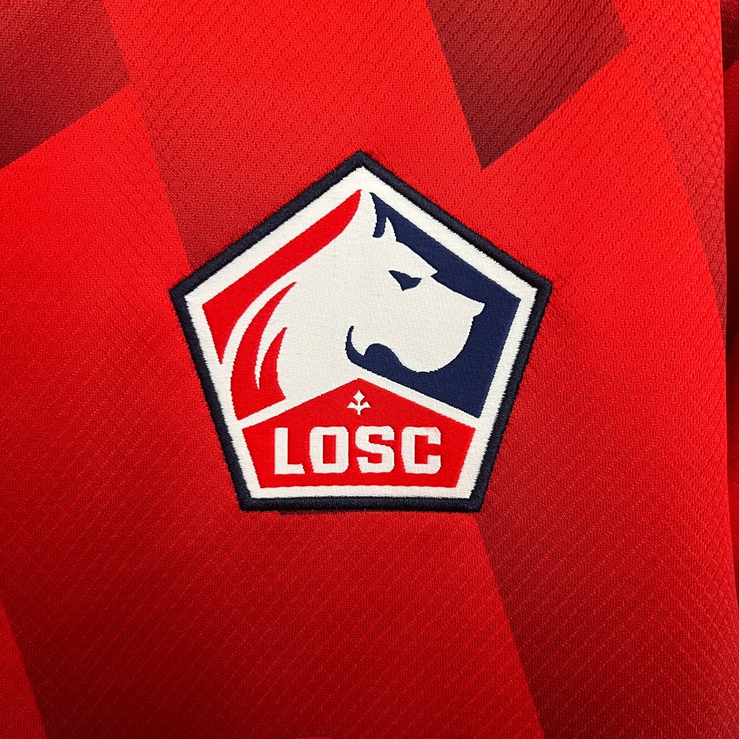 LOSC Lille 25-26 Local (Fan Version)