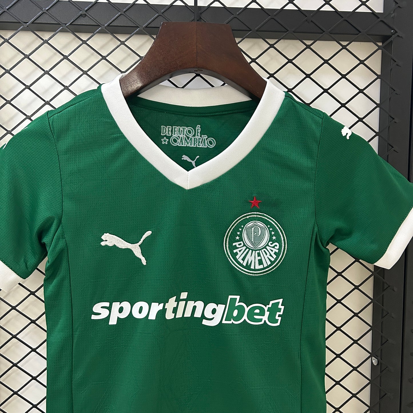 Palmeiras 2025 Local (Niño)