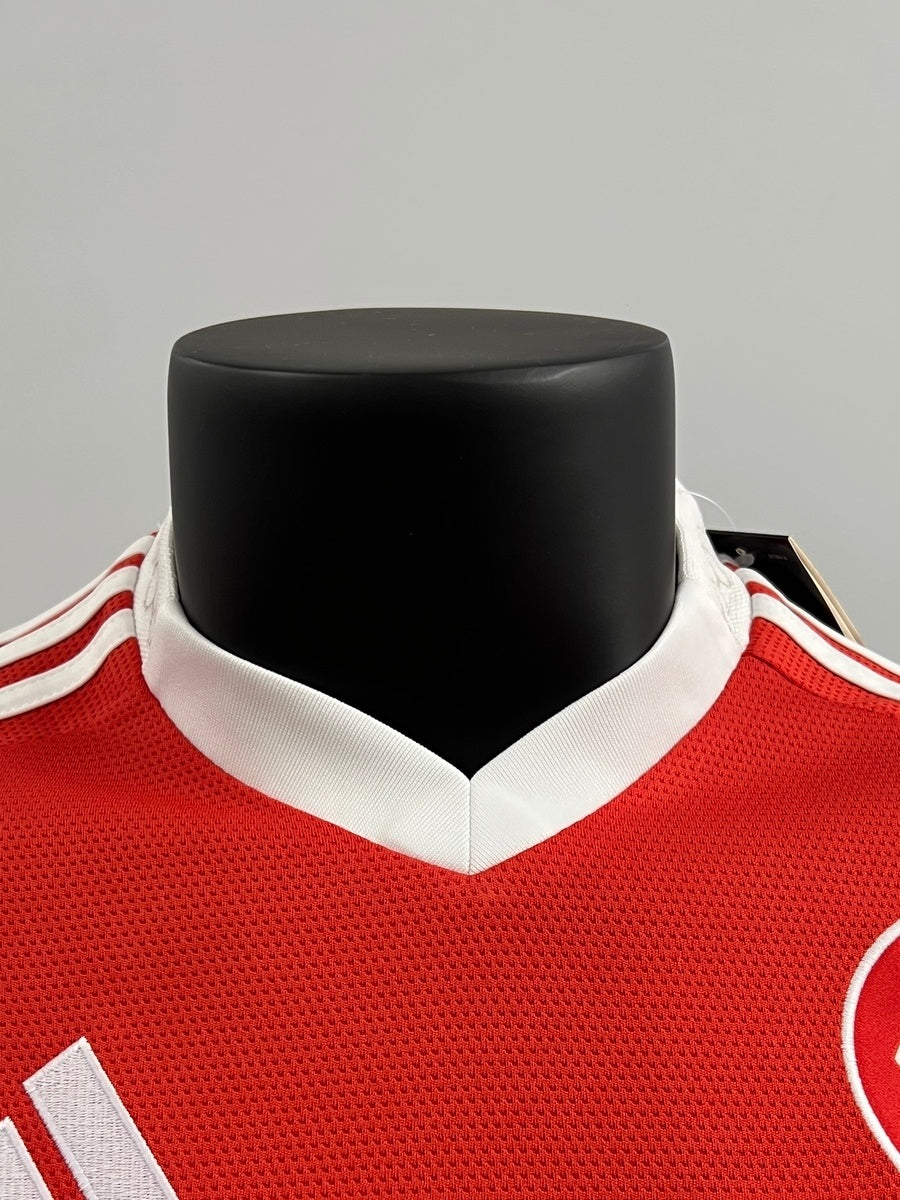 Internacional 2025 Local (Fan Version)