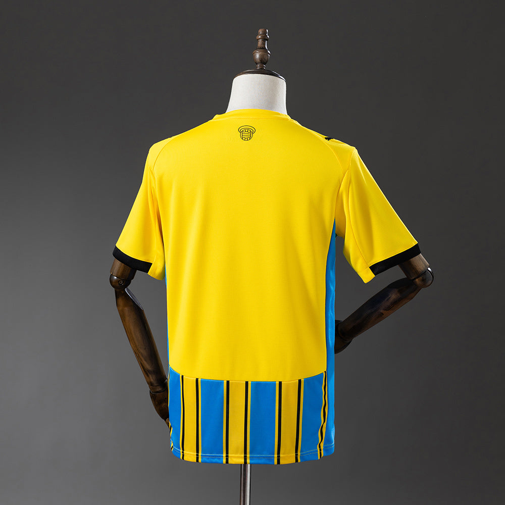 Southampton 25-26 Visitante (Fan Version)