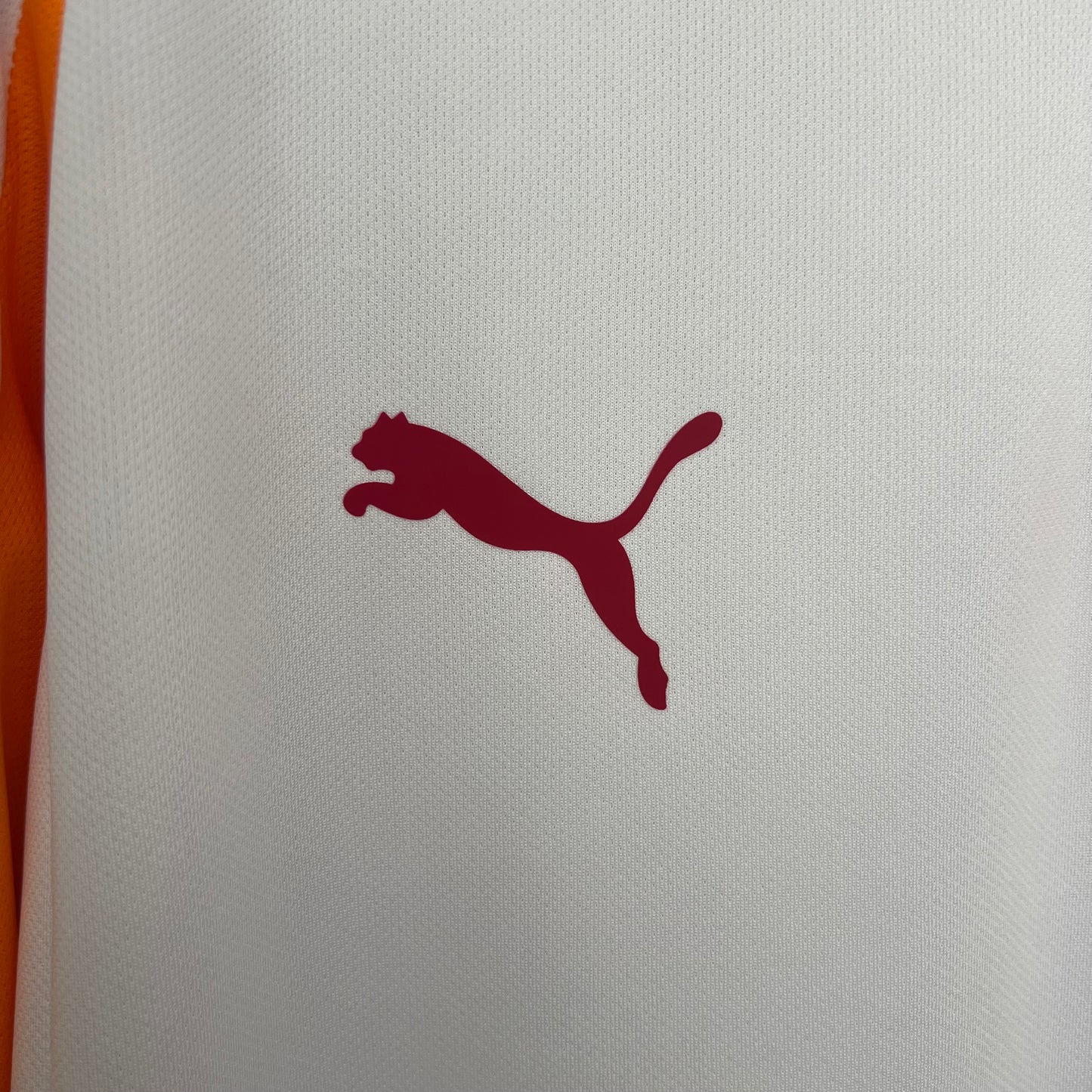 Galatasaray 25-26 Visitante (Fan Version)