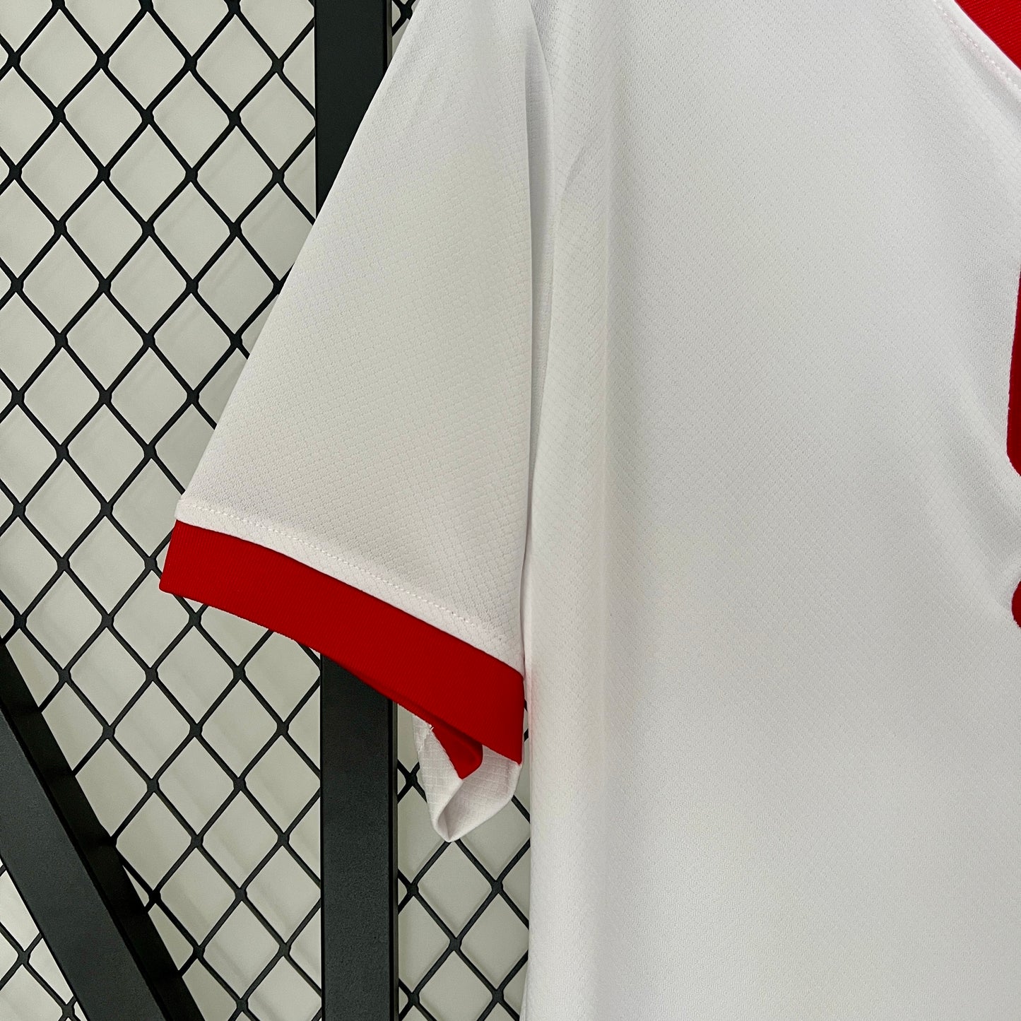 Polonia 2024 Local Eurocopa (Fan Version)