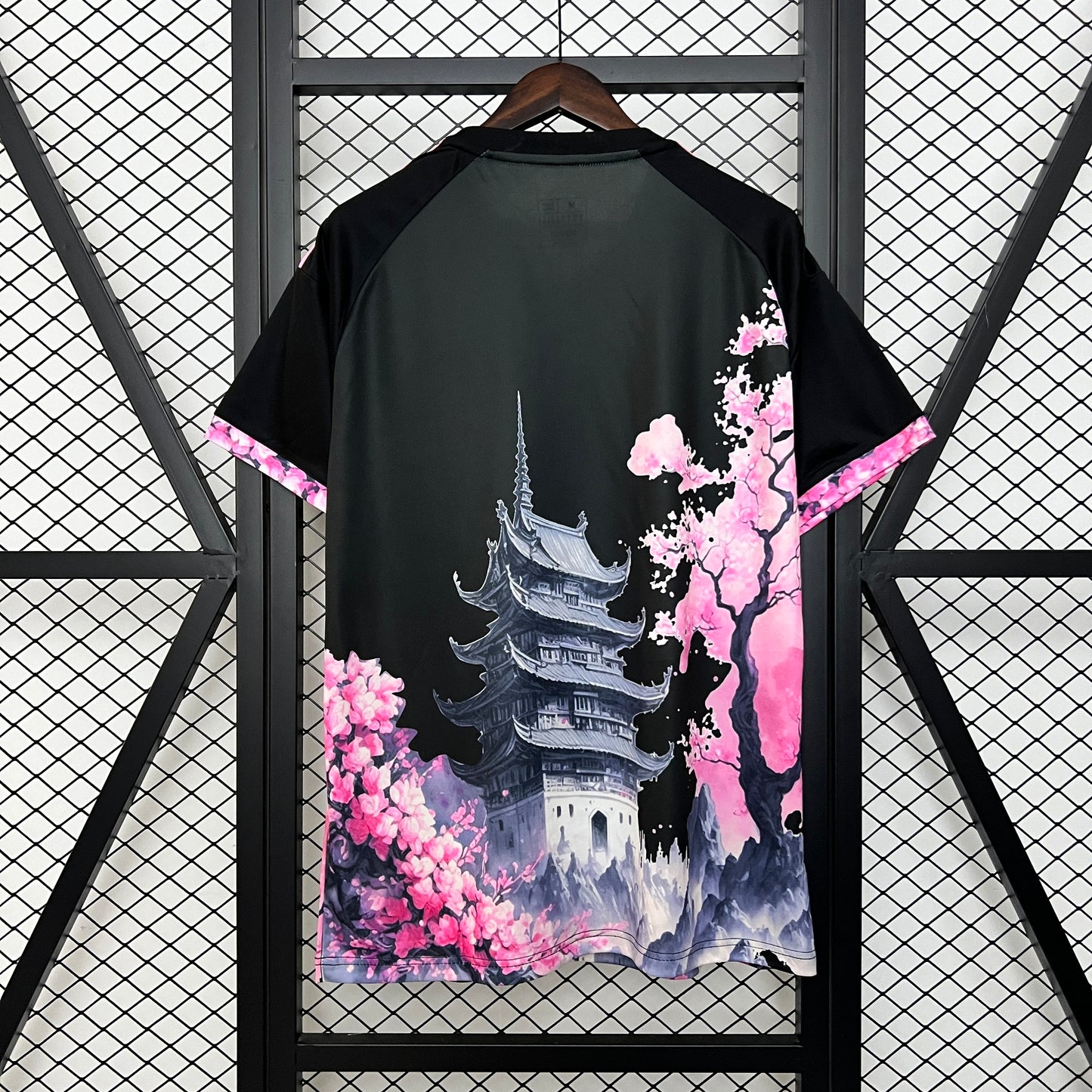 Japón 2024 Edición Especial 29 (Fan Version)