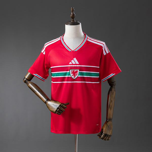 Gales 2026 Local Mundial (Fan Version)
