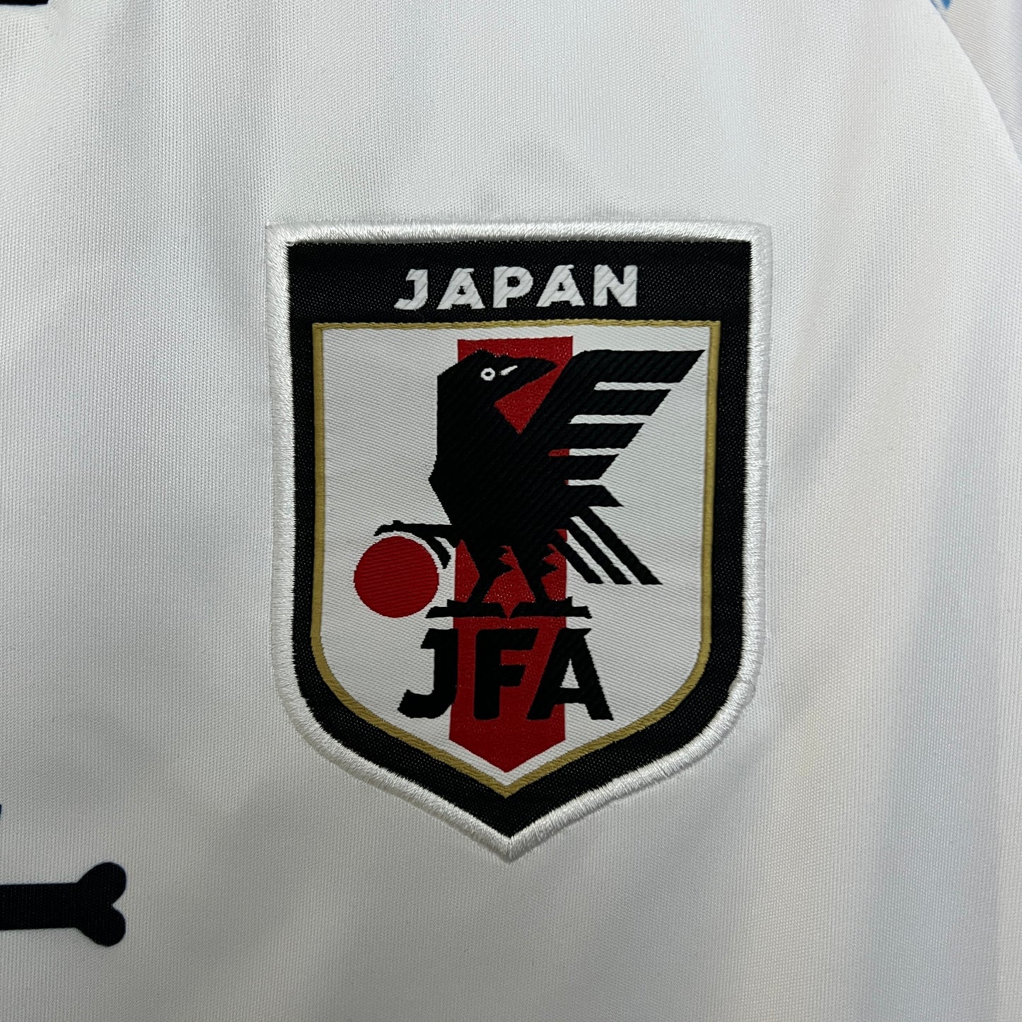 Japón 2024 Edición Especial 10 (Fan Version)