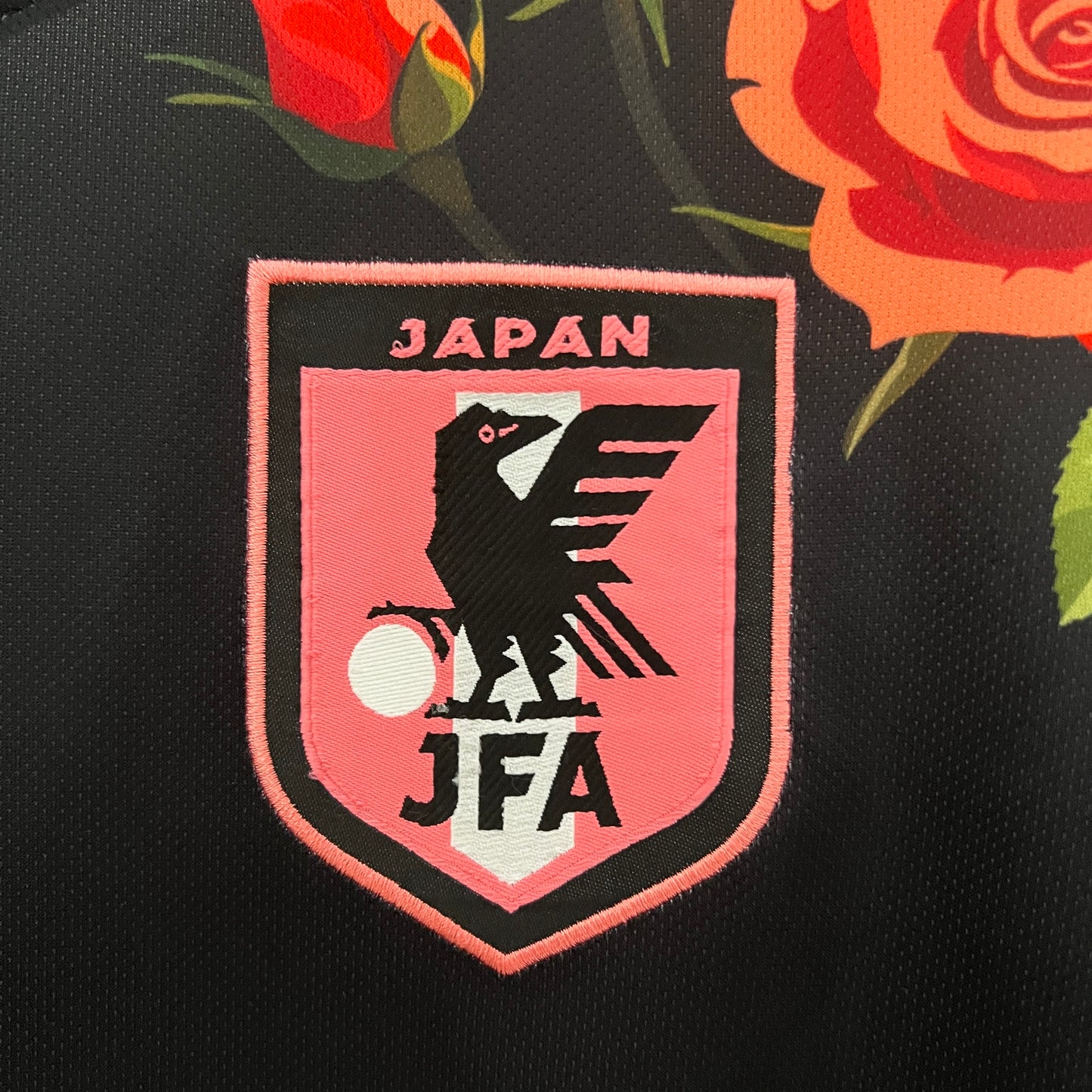 Japón 2024 Edición Especial 9 (Fan Version)