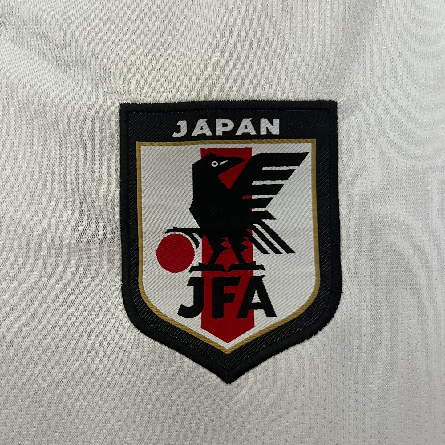 Japón 2024 Edición Especial 5 (Fan Version)