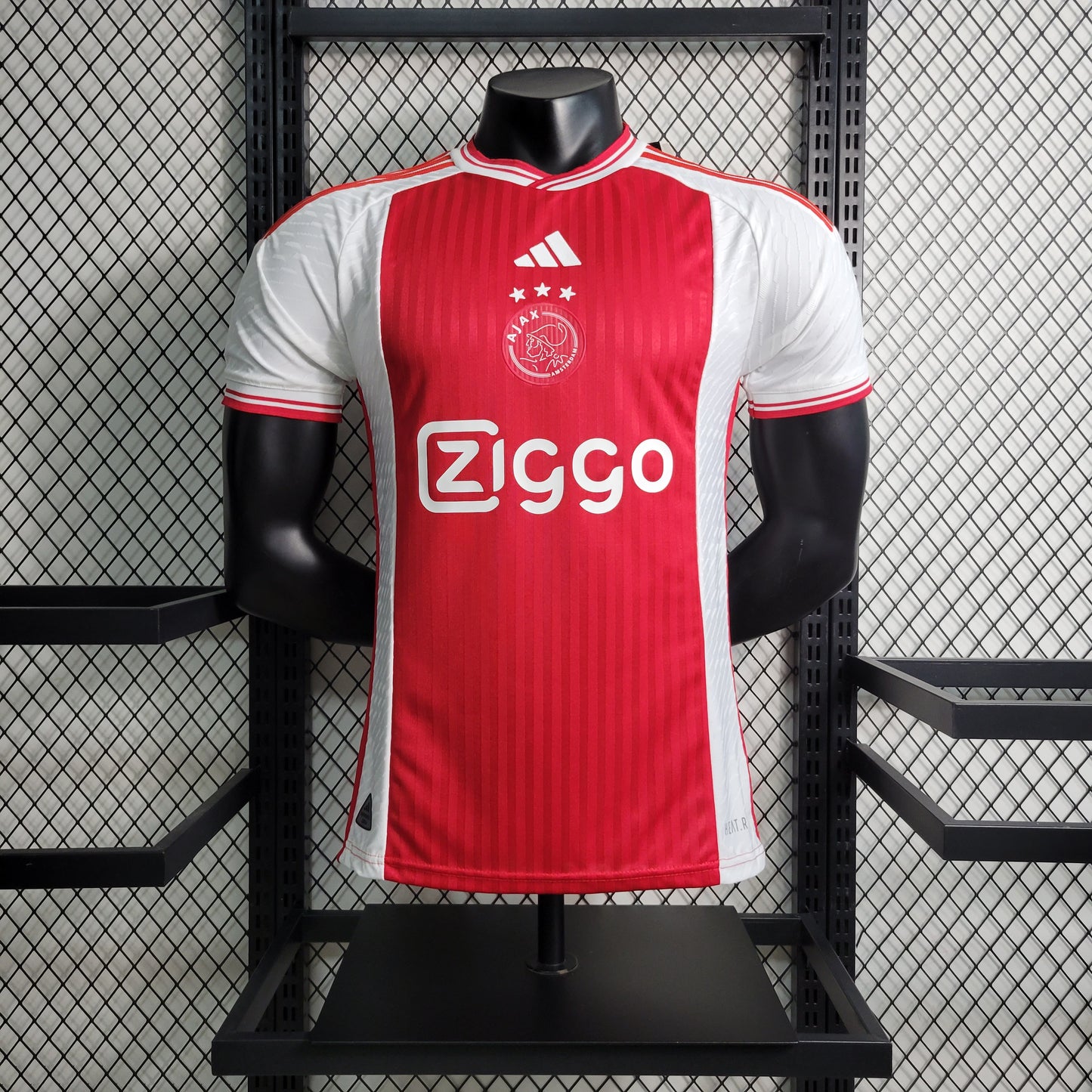 Ajax 23-24 Local (Player Version)