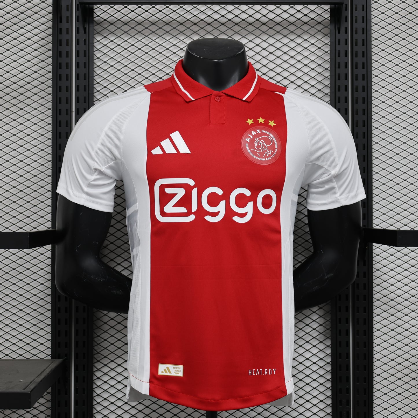 Ajax 24-25 Local (Player Version)