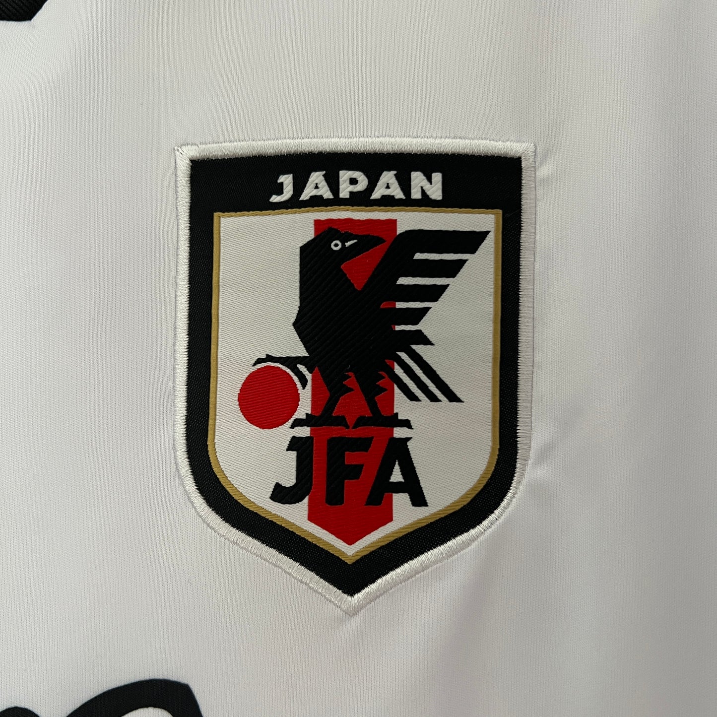 Japón 2024 Edición Especial 18 (Fan Version)