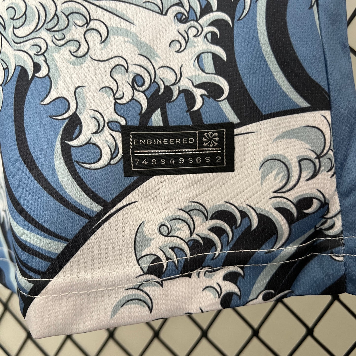 Japón 2024 Edición Especial 19 (Fan Version)