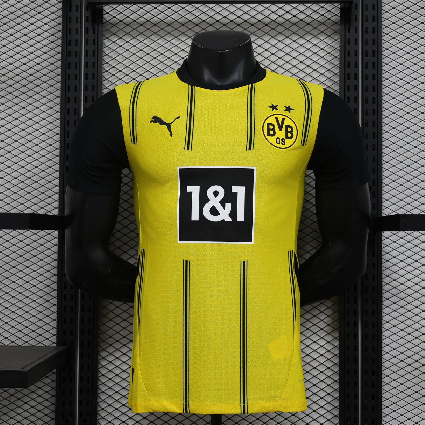 Borussia Dortmund 24-25 Local (Player Version)