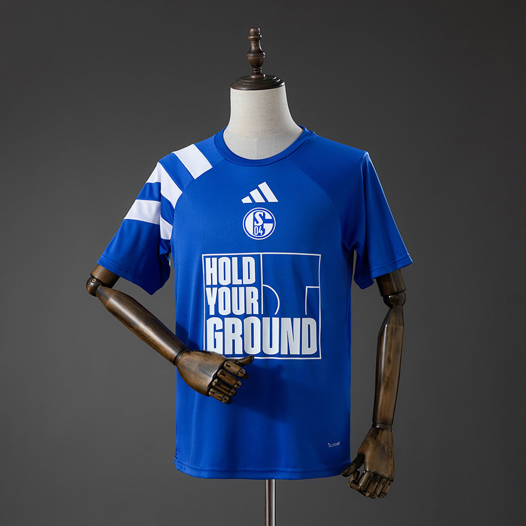 Schalke 04 26-27 Statement (Fan Version)