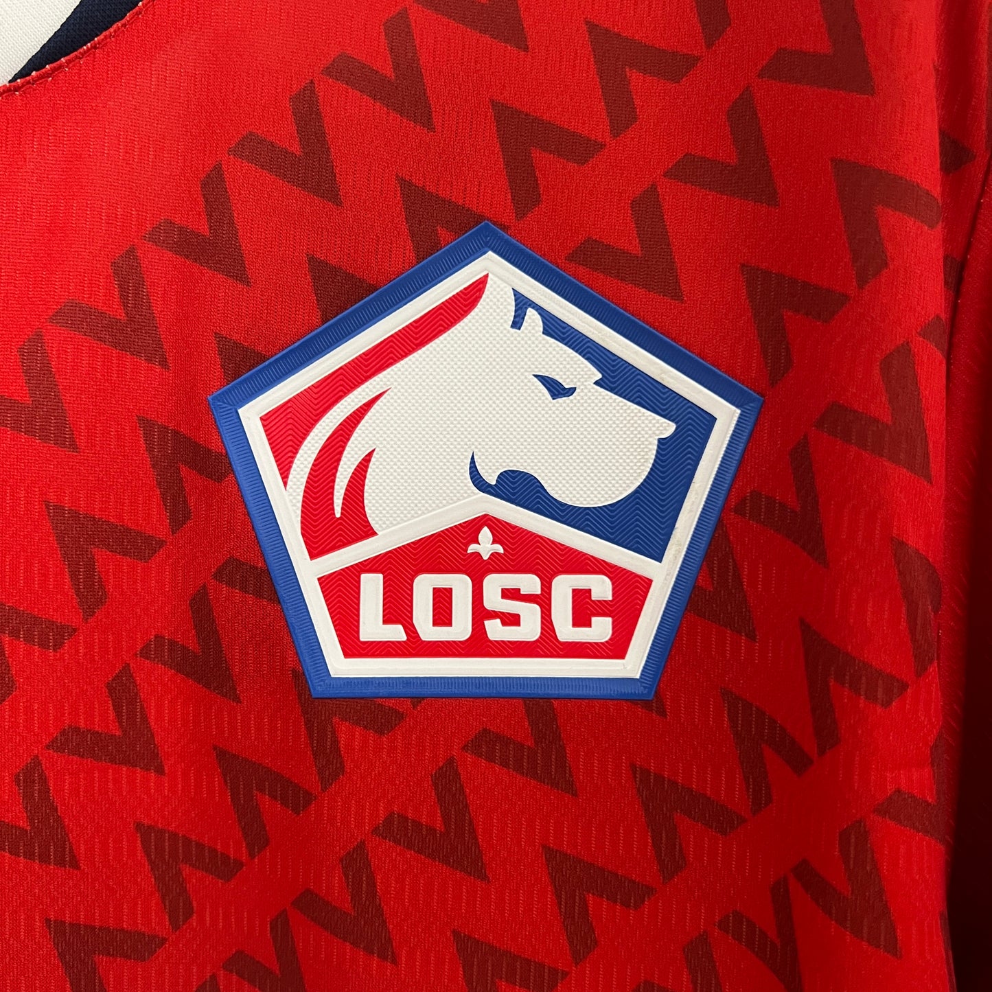 LOSC Lille 24-25 Local (Fan Version)