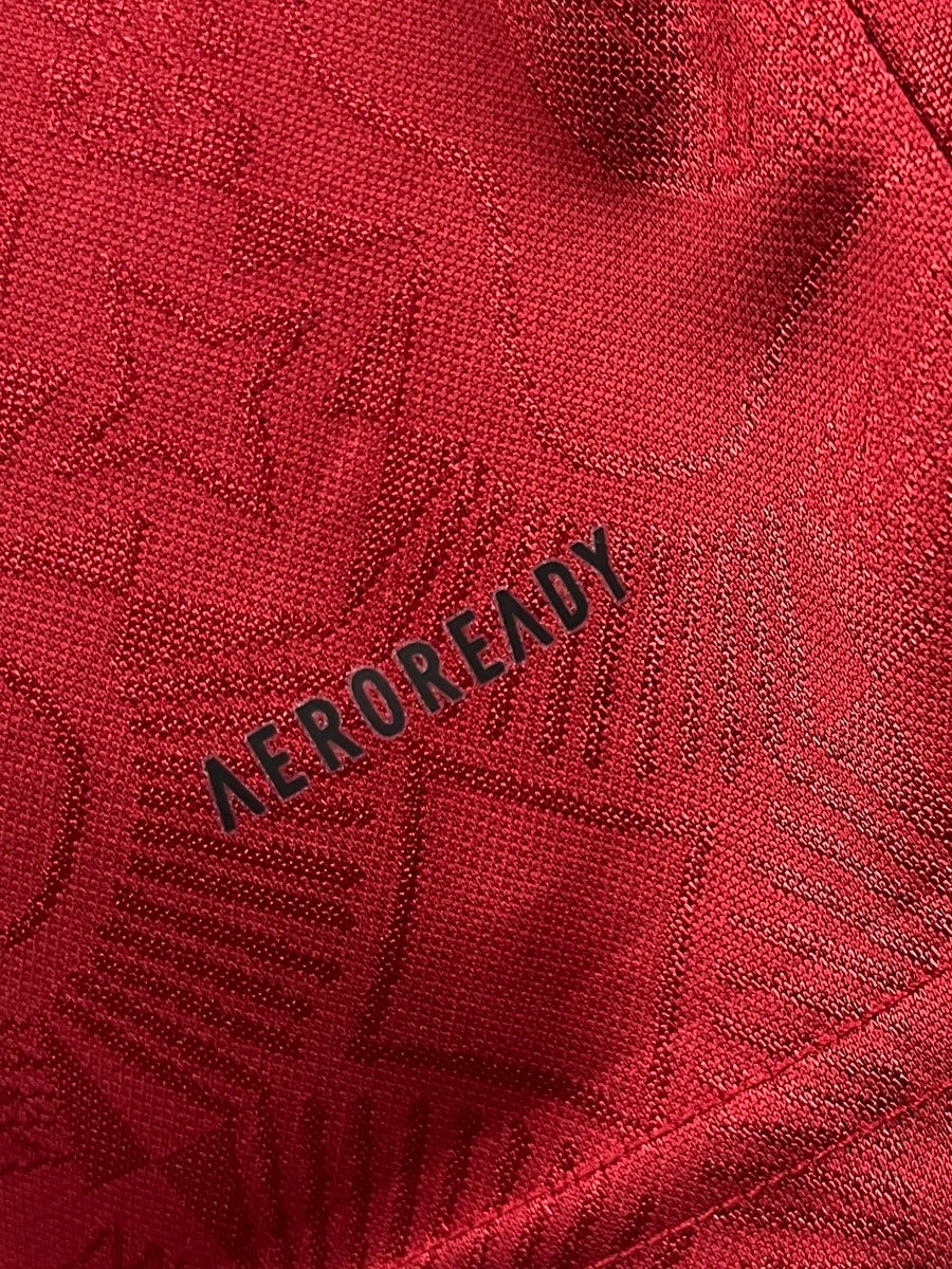 Bayern Múnich 2025 125 Aniversario (Fan Version)