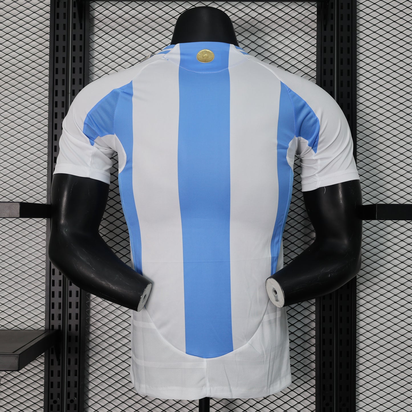 Argentina 2024 Local Copa América (Player Version)